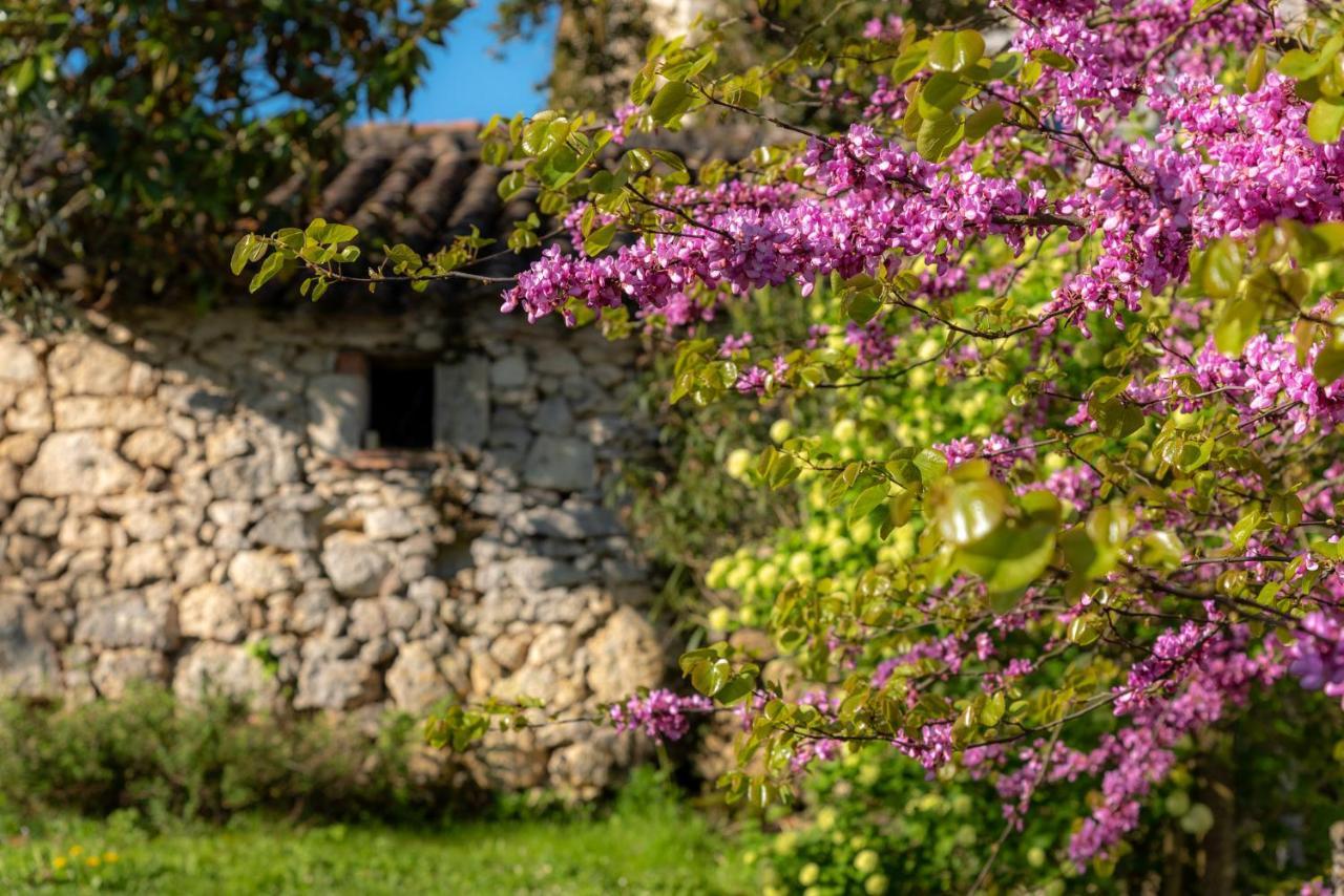 La Maison De Yuka Plieux Экстерьер фото